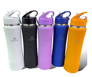 GARRAFA COPO TERMICO 600ML COM STANLEY