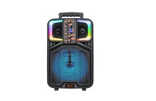 CAIXA DE SOM ALTOMEX COM MICROFONE 2000W